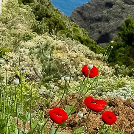 The Poppies - 100m Ocean - Private Spaces *