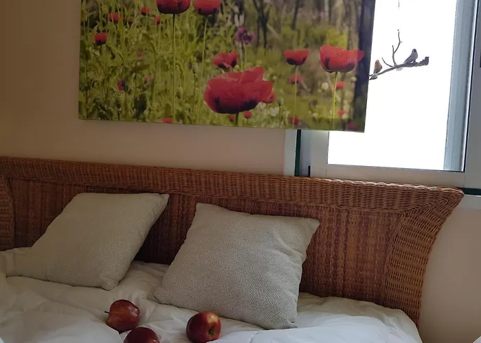 Pensionat The Poppies - 100m Ocean - Private Spaces *