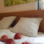 The Poppies - 100m Ocean - Private Spaces Guest house