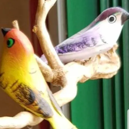 The Poppies - 100m Ocean - Private Spaces