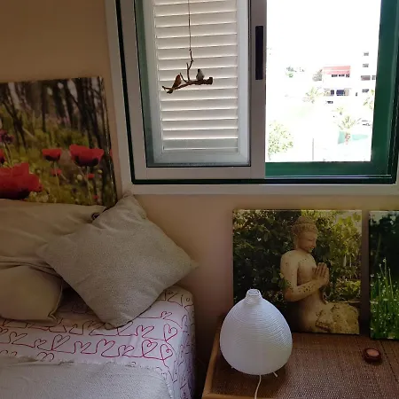 The Poppies - 100m Ocean - Private Spaces *