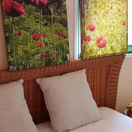 The Poppies - 100m Ocean - Private Spaces