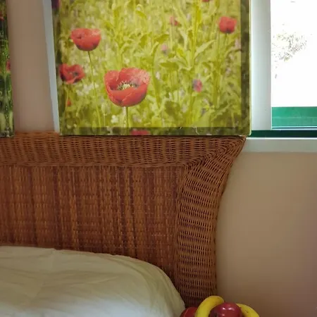 The Poppies - 100m Ocean - Private Spaces Gæstehus Candelaria