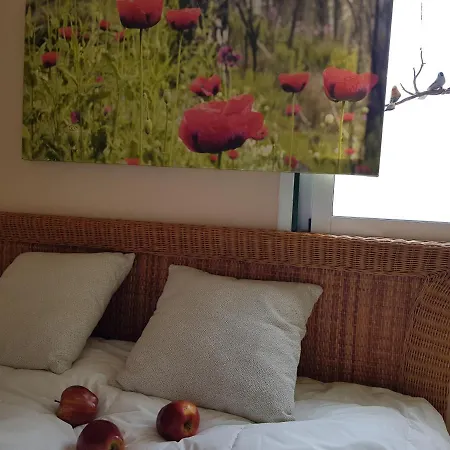 Guest house The Poppies - 100m Ocean - Private *