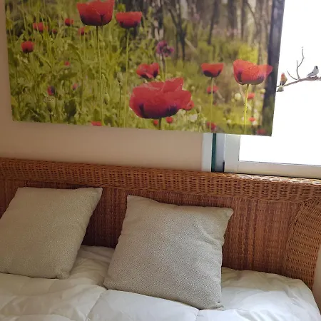 The Poppies - 100m Ocean - Private Spaces Gæstehus