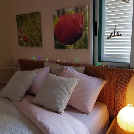 The Poppies - 100m Ocean - Private Spaces Candelaria