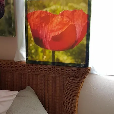 The Poppies - 100m Ocean - Private Guest house Candelaria
