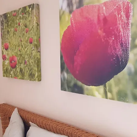 Gæstehus The Poppies - 100m Ocean - Private Spaces *