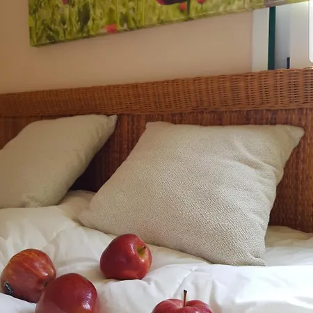 The Poppies - 100m Ocean - Private Spaces Gæstehus