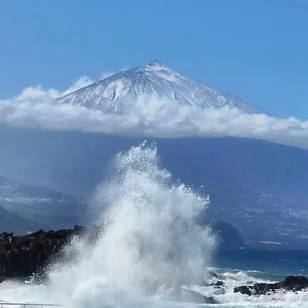 The Poppies - 100m Ocean - Private Spaces