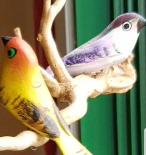 The Poppies - 100m Ocean - Private Spaces