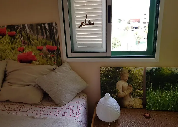 The Poppies - 100m Ocean - Private Spaces *