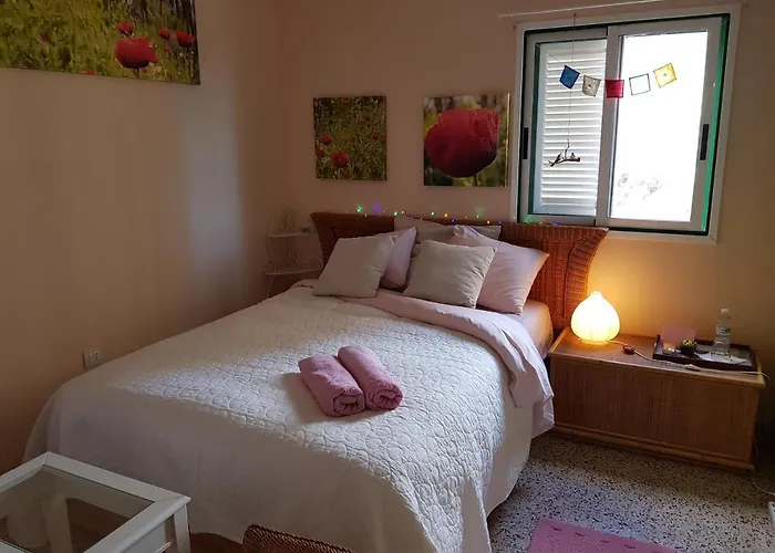 The Poppies - 100m Ocean - Private Spaces *