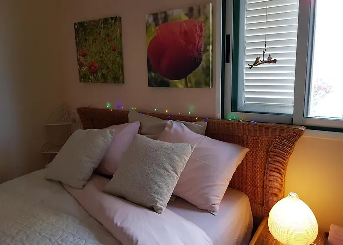 The Poppies - 100m Ocean - Private Spaces Candelaria