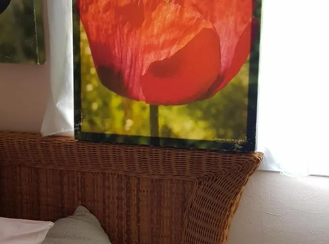 The Poppies - 100m Ocean - Private Spaces Vendégház Candelaria