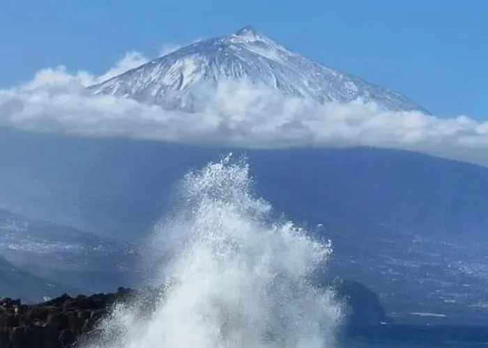 The Poppies - 100m Ocean - Private Spaces