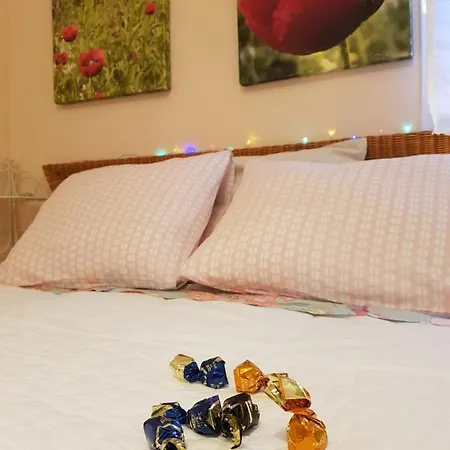 Guest house The Poppies - 100m Ocean - Private Spaces