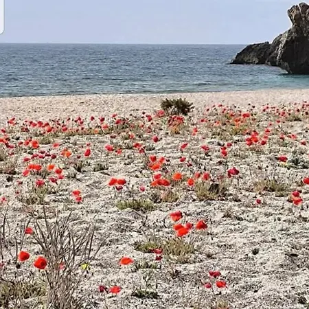 The Poppies - 100m Ocean - Private Spaces