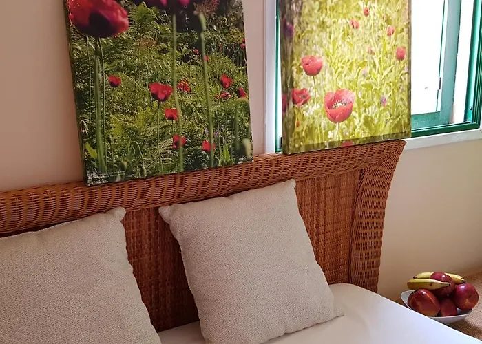 The Poppies - 100m Ocean - Private Spaces